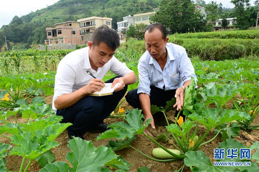 （新華全媒頭條·圖文互動）（3）咱們村里的年輕人——記奮戰(zhàn)在貴州脫貧攻堅一線的青年